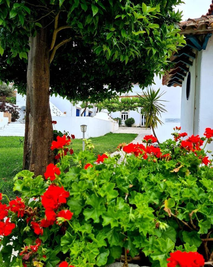 Oryza Guest House& Suites Коимбра Экстерьер фото
