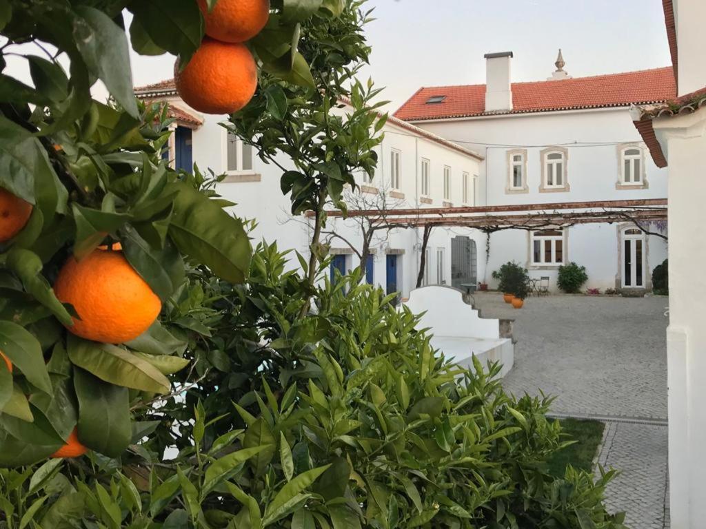 Oryza Guest House& Suites Коимбра Экстерьер фото